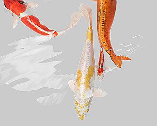 《崩坏：星穹铁道》灵砂角色PV——「燎沉香」